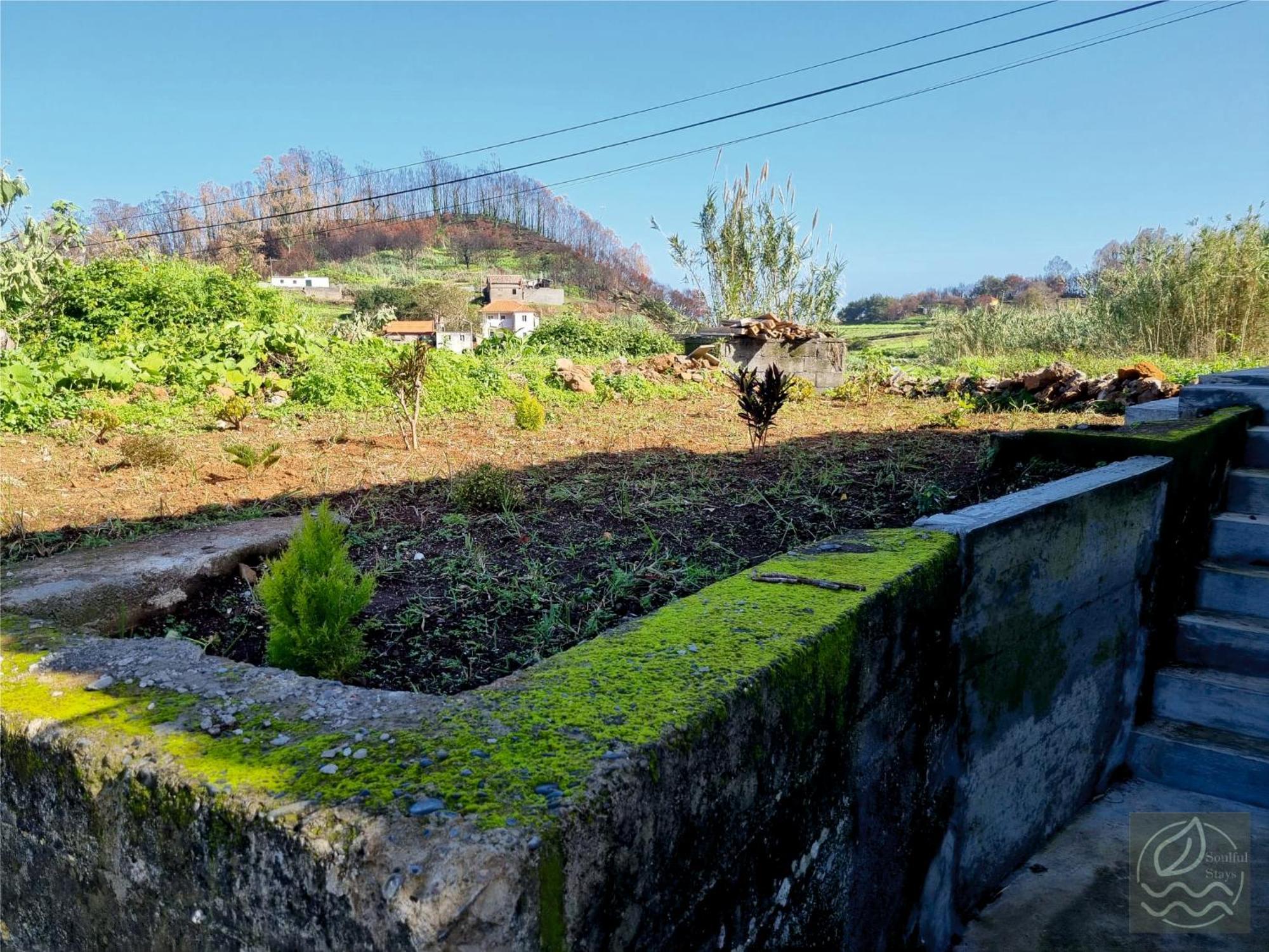 My Little Home Cottage 2 Bedrooms - Soulful Stays Porto Moniz Eksteriør bilde